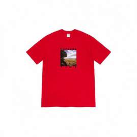 Picture of Supreme T Shirts Short _SKUSupremeS-2XLthtxS391275